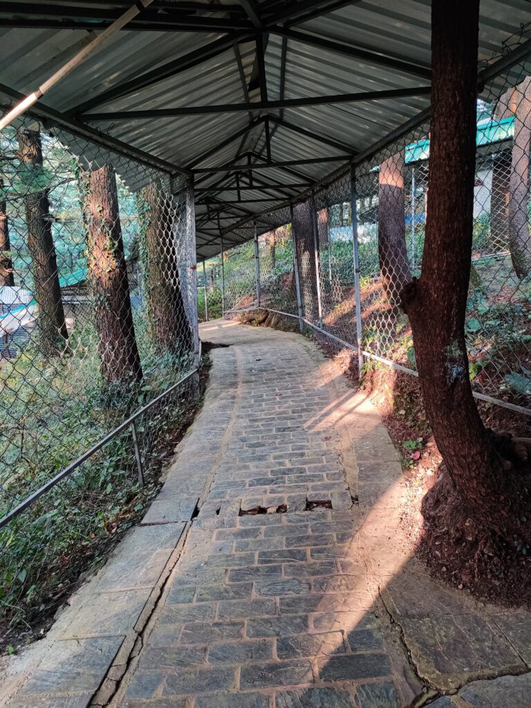 Vipassana Meditation Center, Dhamashala - Shefali Chautala